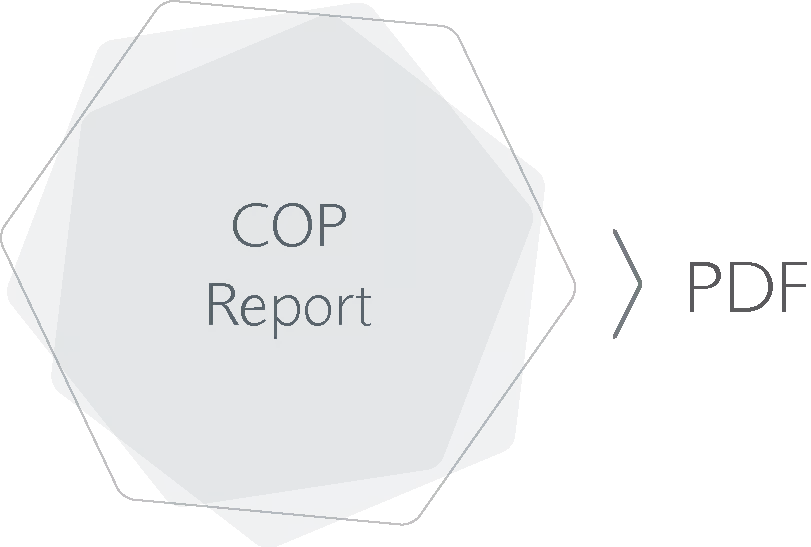 COP Report