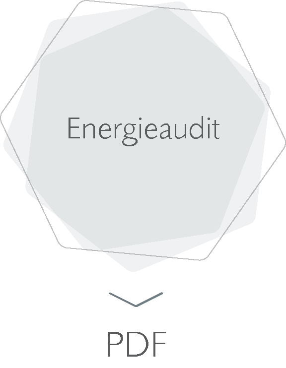 Energieaudit